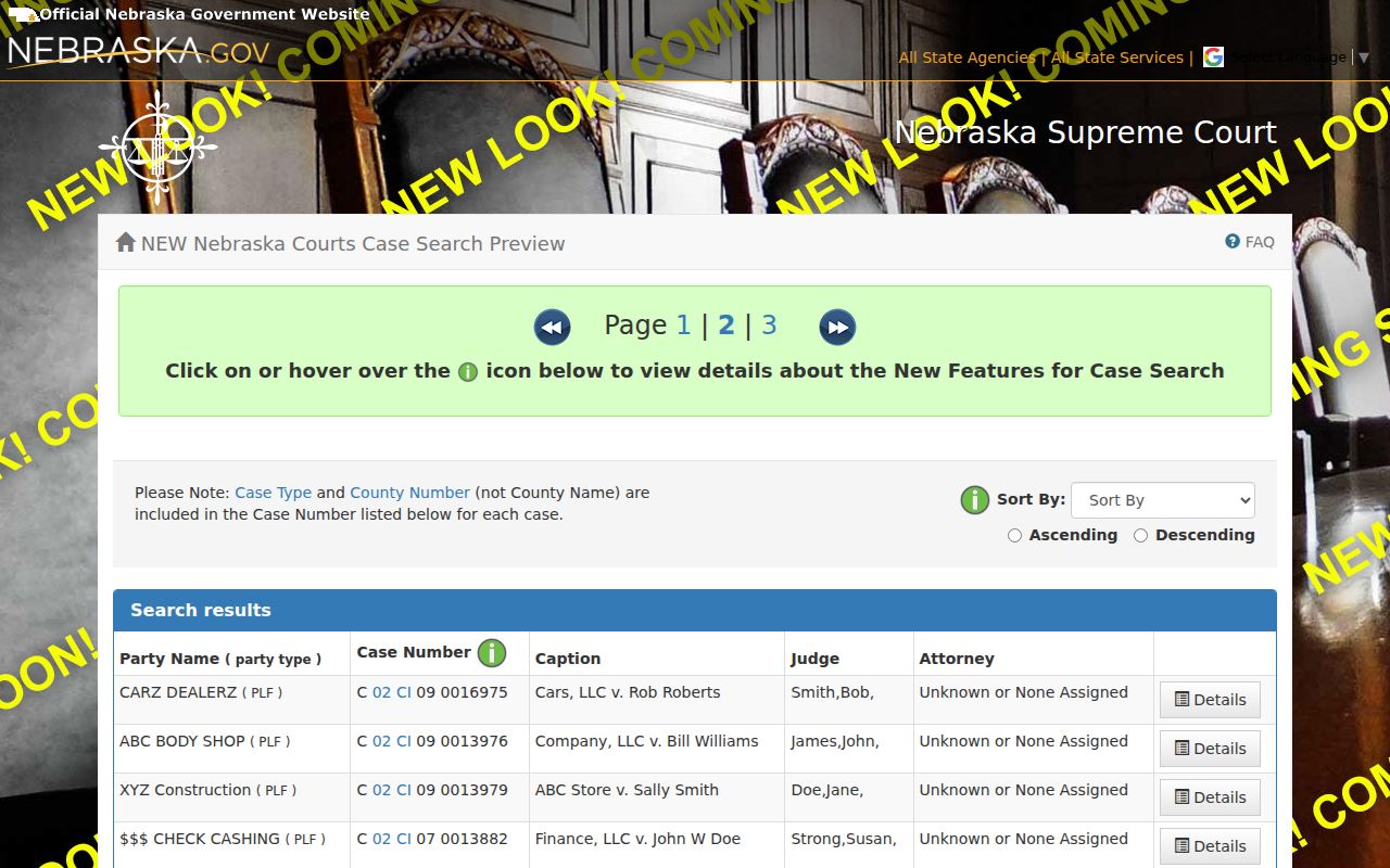 Arthur County case search result fields for party type case number caption and details