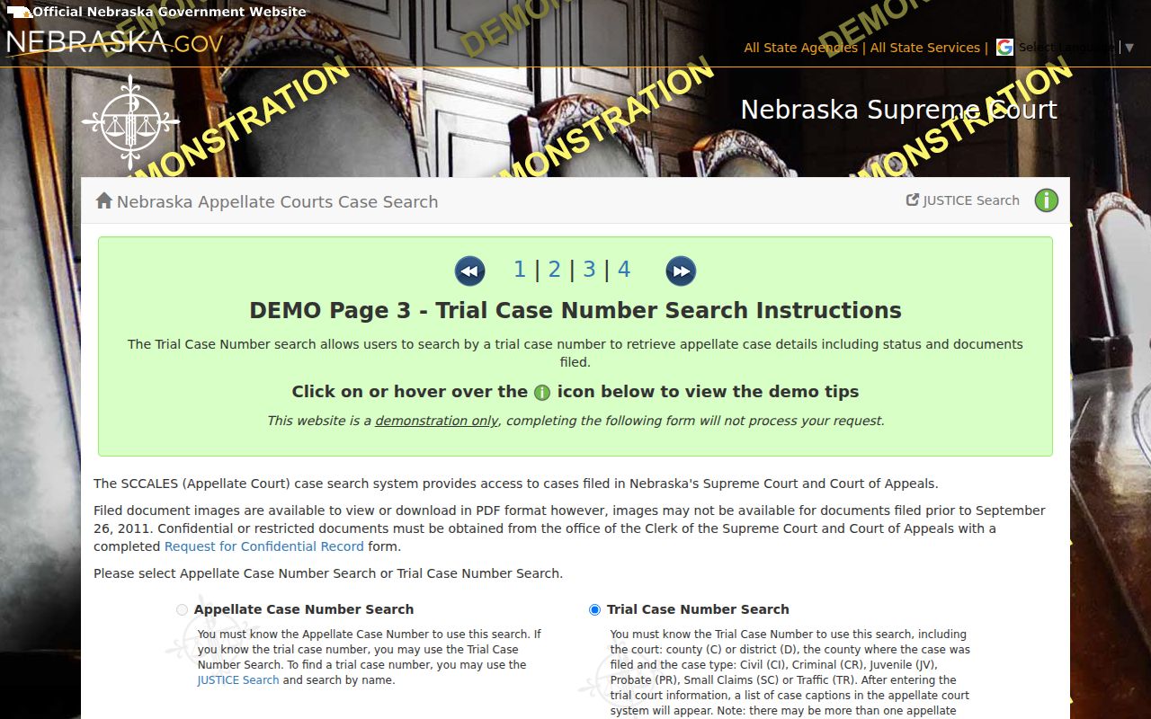Arthur County case search trial case number field demonstration